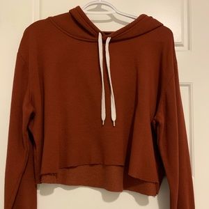 Streetwear society Burnt Orange Cropped Hoodie